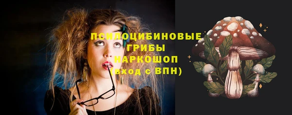 прущая мука Дмитриев