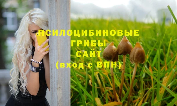 таблы Белокуриха