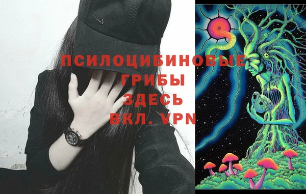 дурь Богданович