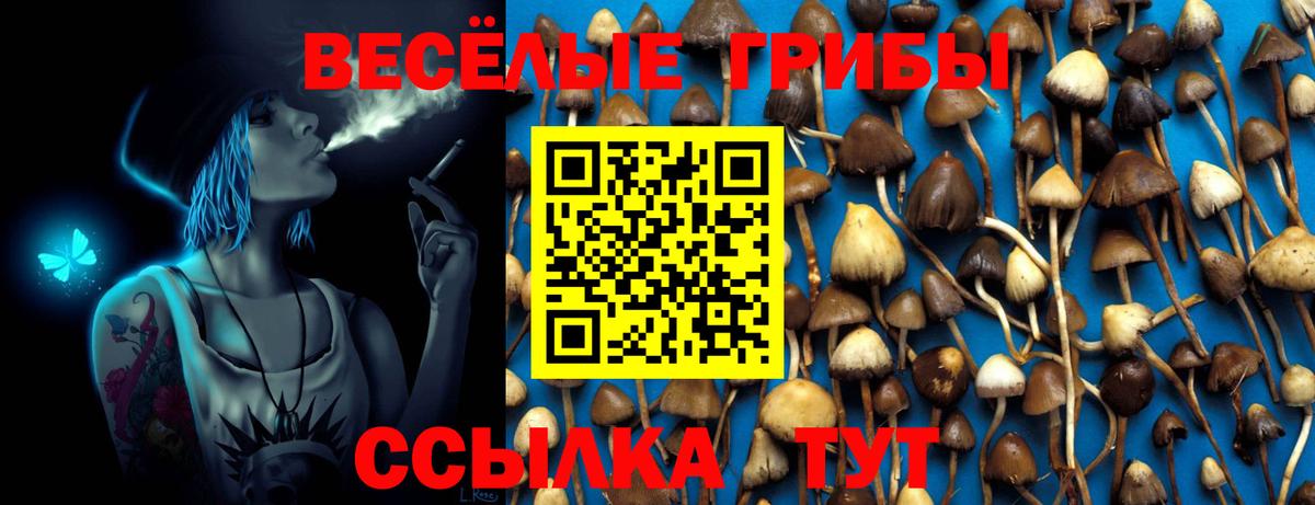 Галлюциногенные грибы Psilocybe  Вход с VPN  Богородск 